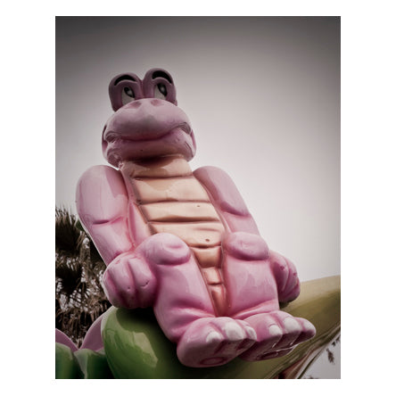 Whimsical Pink Frog Turtle Art Print: Gothic Carnival Series, 12x16