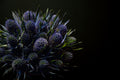 Sea Holly Still Life