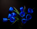 Electric Blue Tulips Bouquet