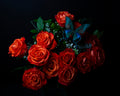 Blue Butterfly and Orange Roses with Baby's Breath