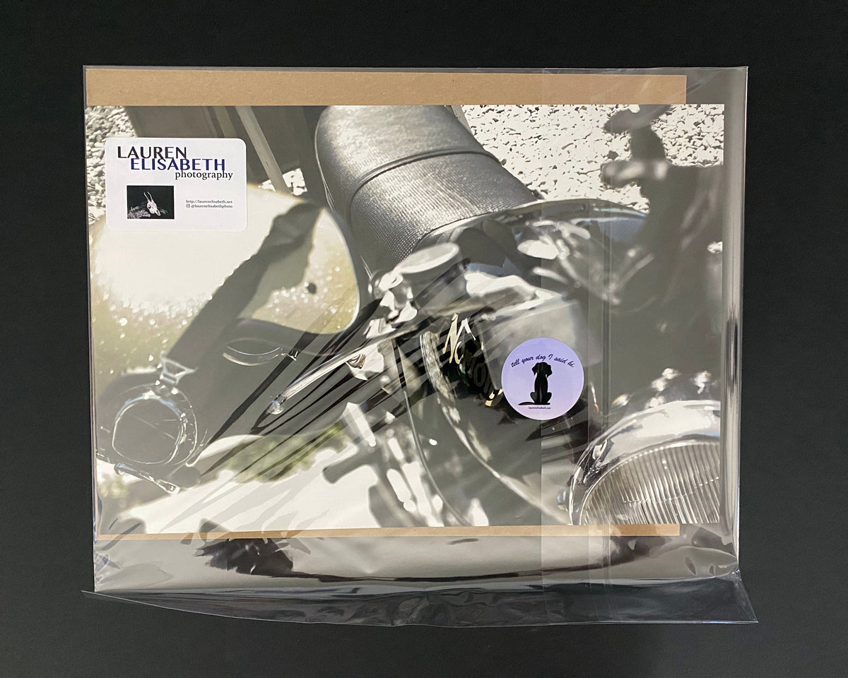 Retro Norton Motorcycle Art Print: Gold Flake Helmet, Signed Photograph 10x15