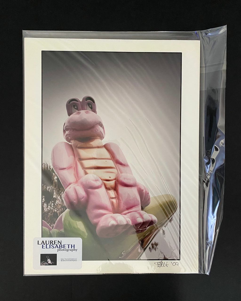 Whimsical Pink Frog Turtle Art Print: Gothic Carnival Series, 12x16