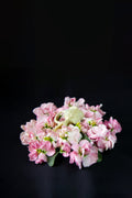 Muskrat Skull and Delphiniums