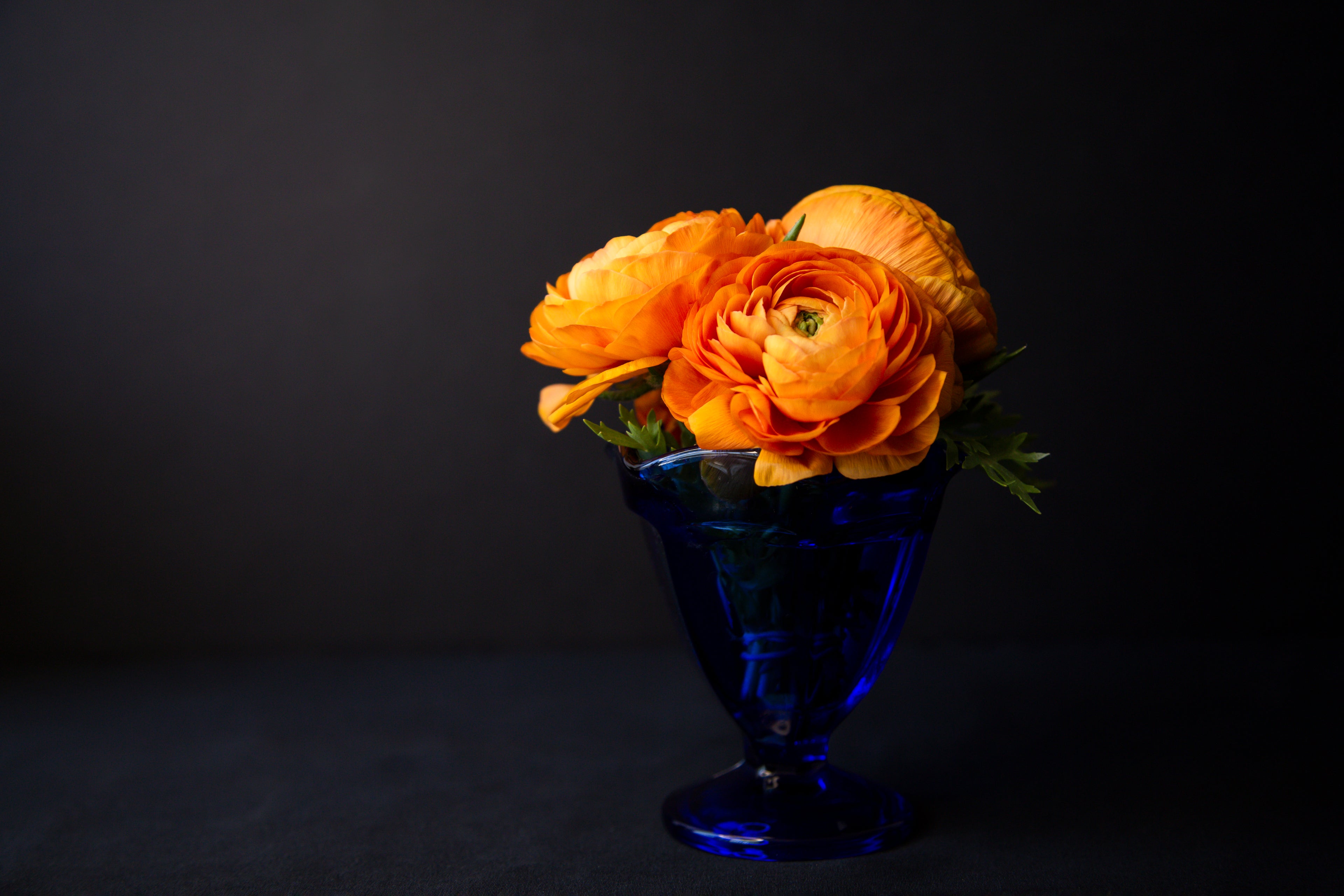 Persian Buttercups In Vase