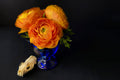 Ranunculus and Raccoon Skull