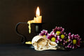 Raven Skull, Daisies, and Candle