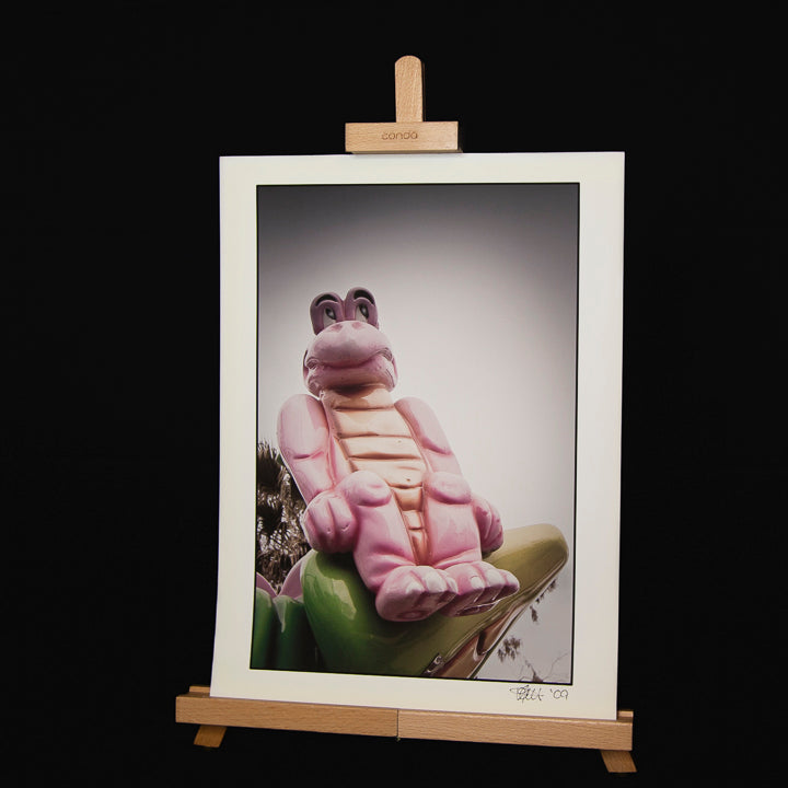 Whimsical Pink Frog Turtle Art Print: Gothic Carnival Series, 12x16