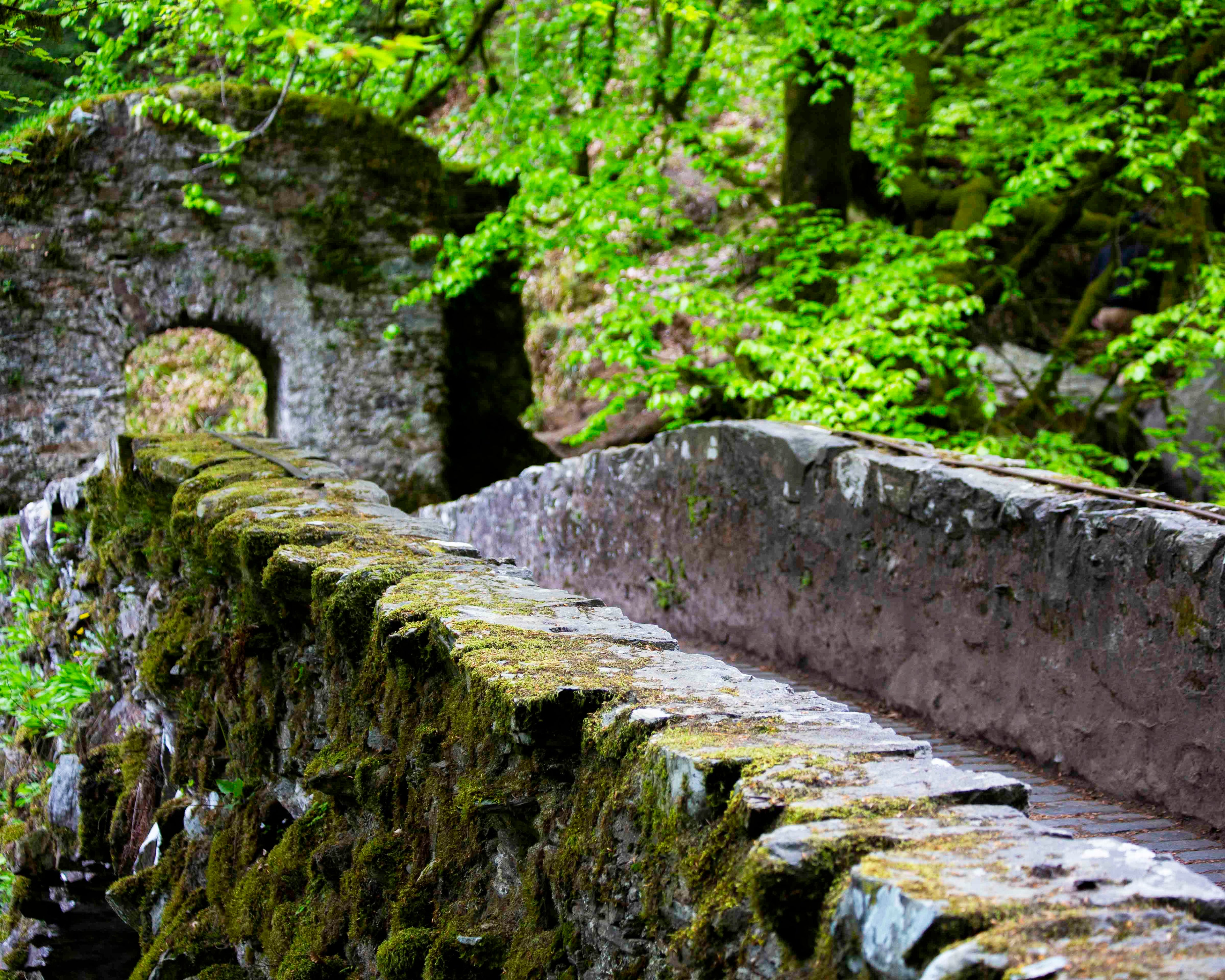 Ivy-Covered Stone Bridge, Perthshire Highlands