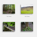 Landscape Metal Mini Prints
