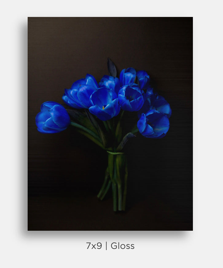 Flora and Fauna Metal Mini Prints