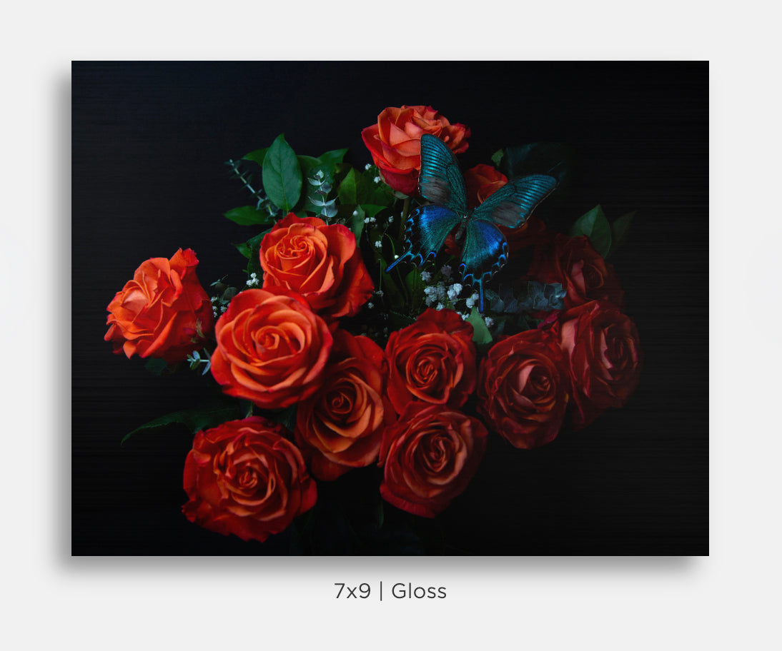 Flora and Fauna Metal Mini Prints