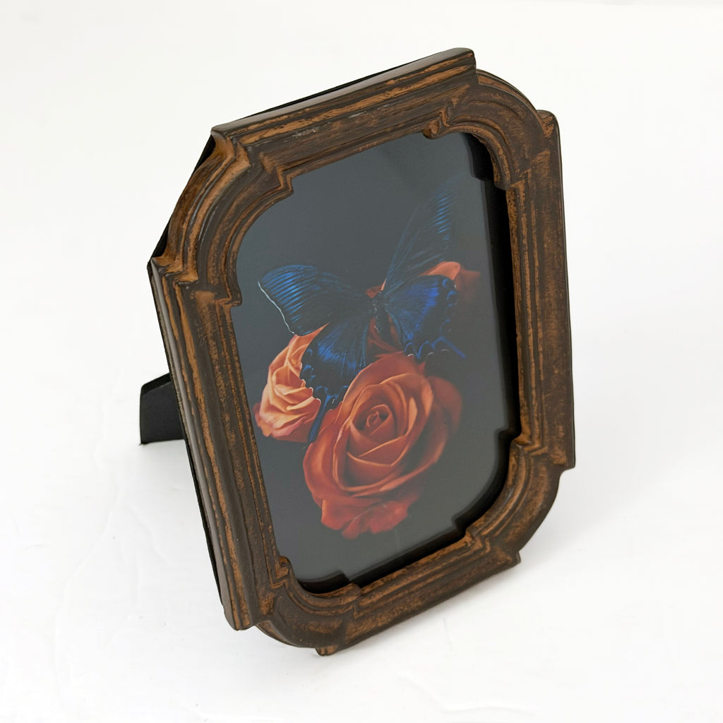 Framed Print Electric Blue Butterfly Perched on Orange Roses 4x6