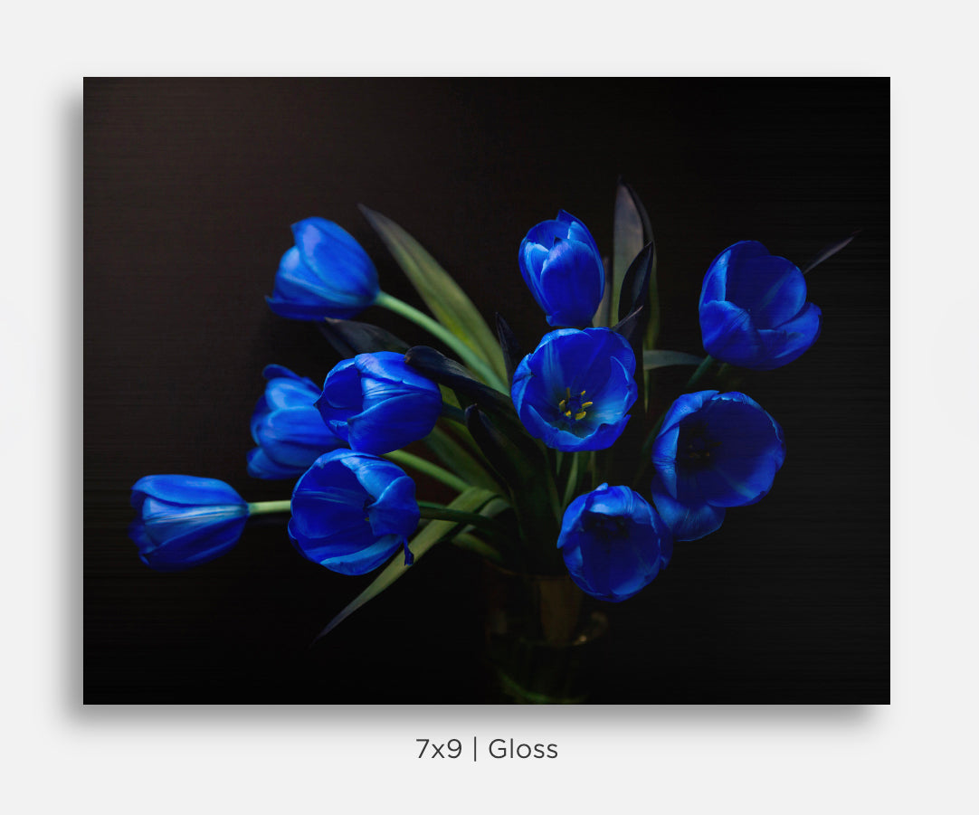Flora and Fauna Metal Mini Prints