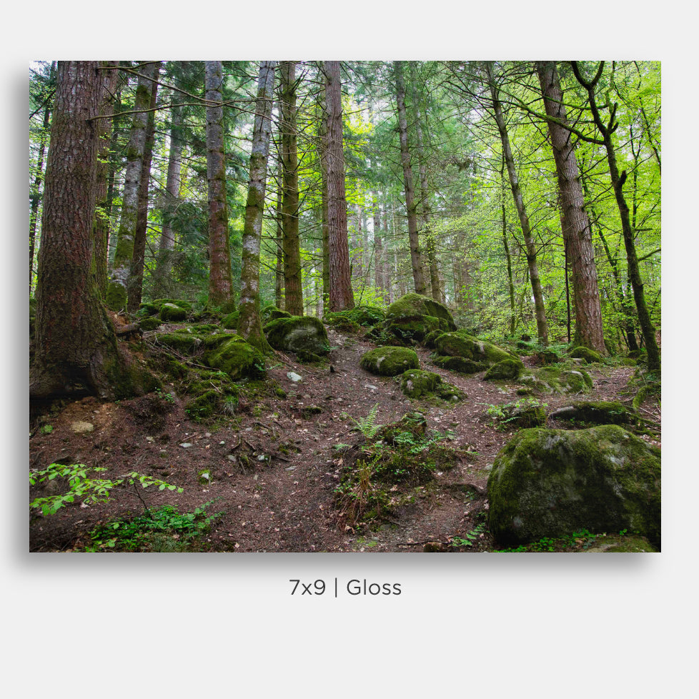 Landscape Metal Mini Prints