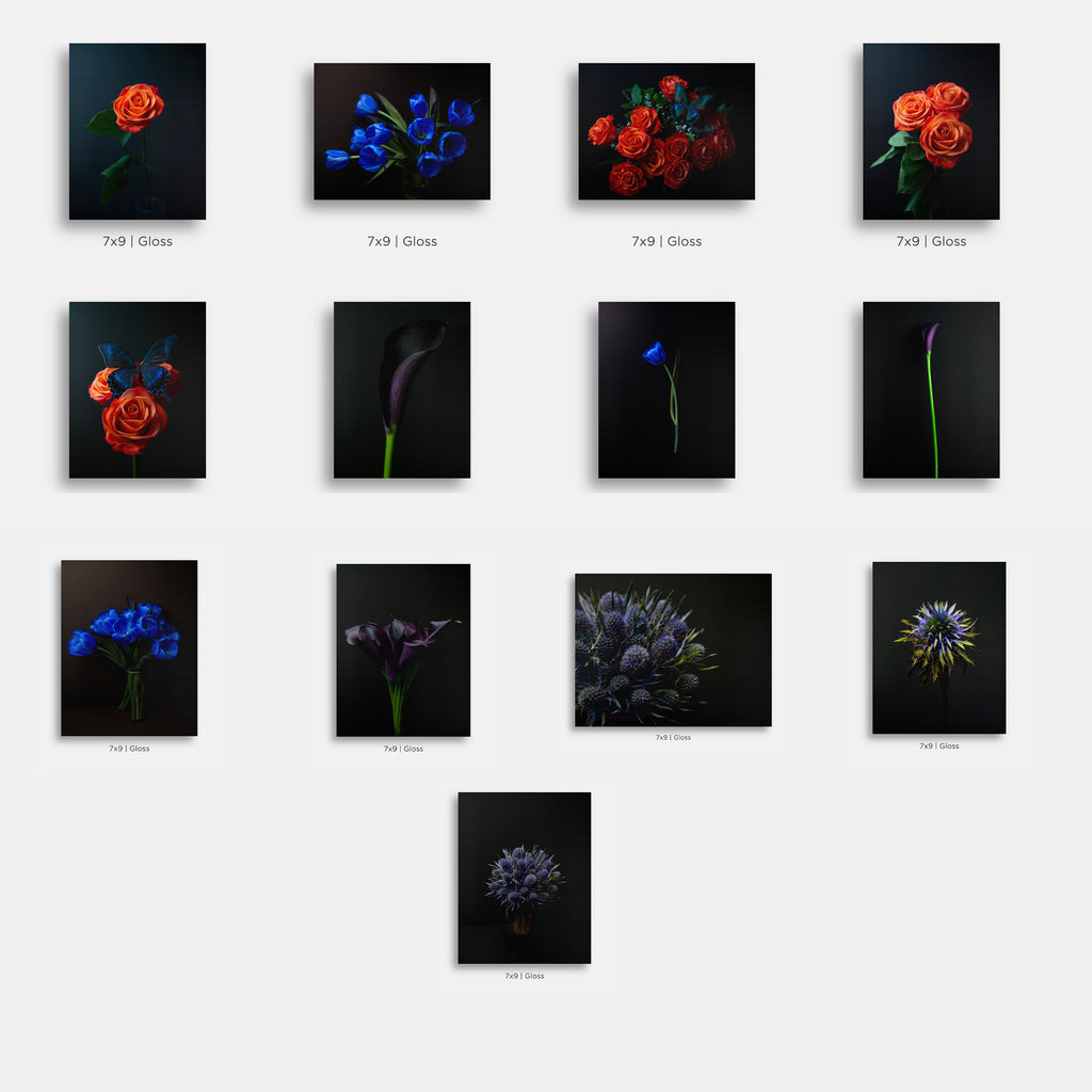 Flora and Fauna Metal Mini Prints