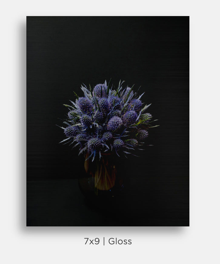 Flora and Fauna Metal Mini Prints