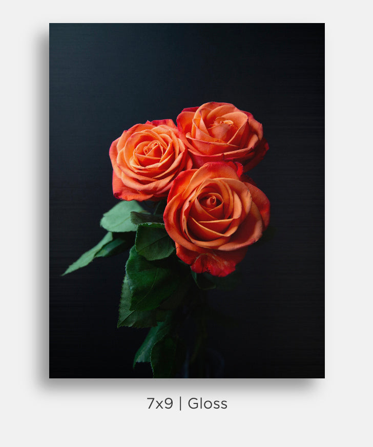 Flora and Fauna Metal Mini Prints