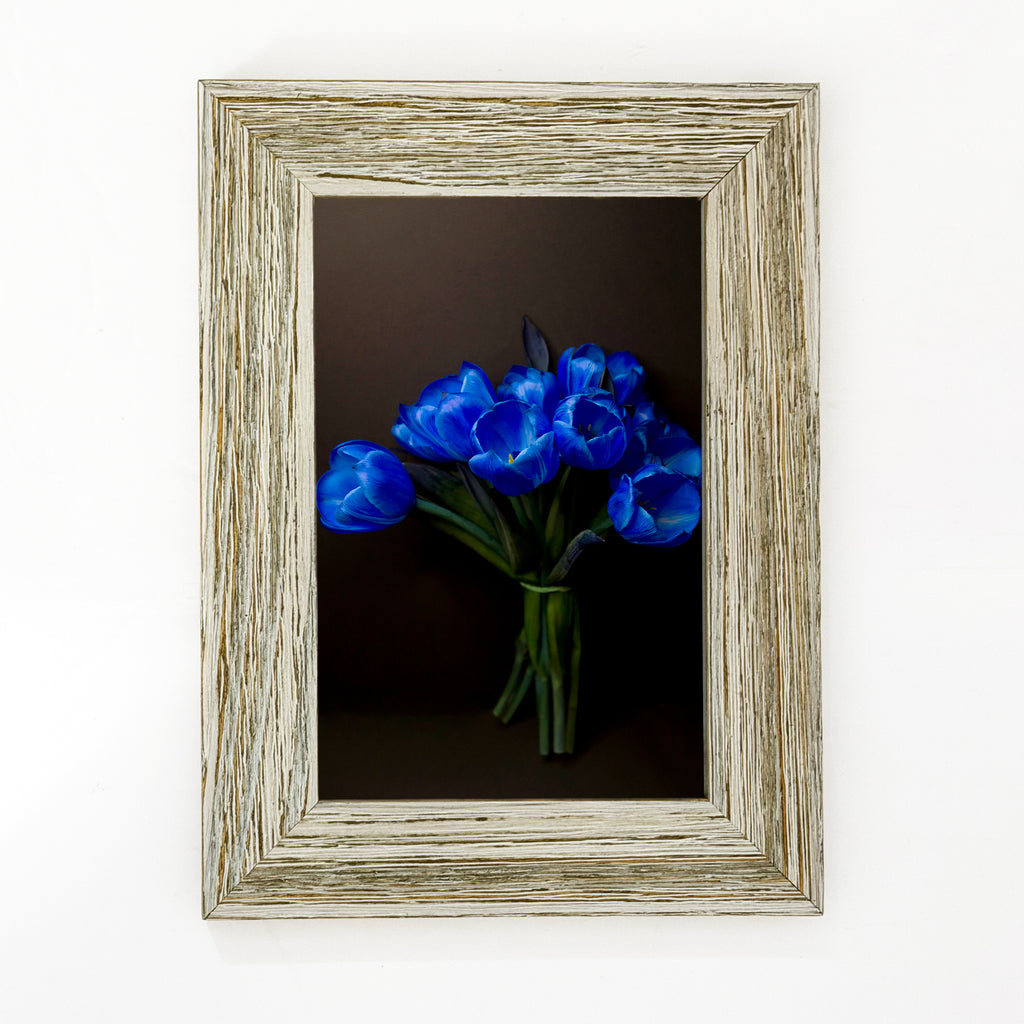Framed Print Electric Blue Tulips Bouquet 4x6