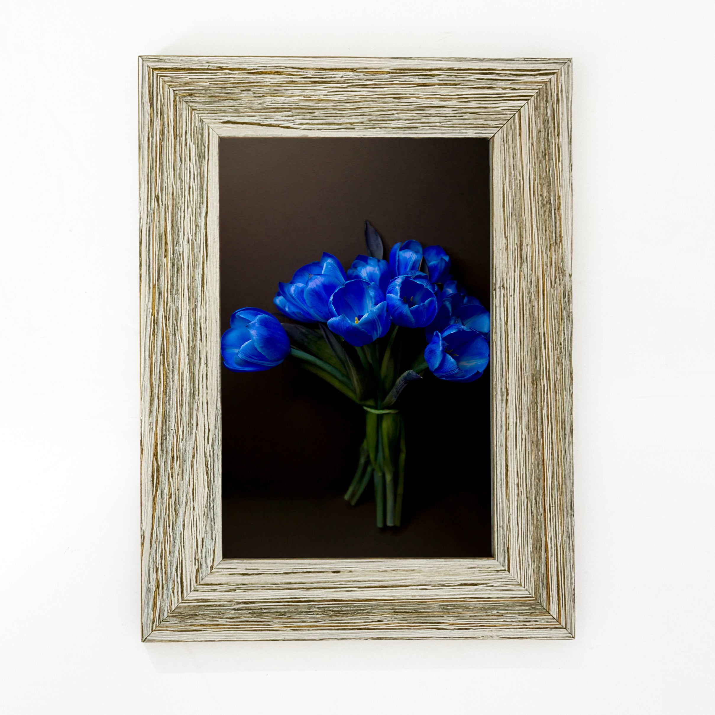 Framed Print Electric Blue Tulips Bouquet 4x6