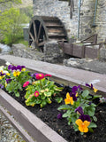 Historic Mill and Water Wheel, Blair Atholl, Scotland